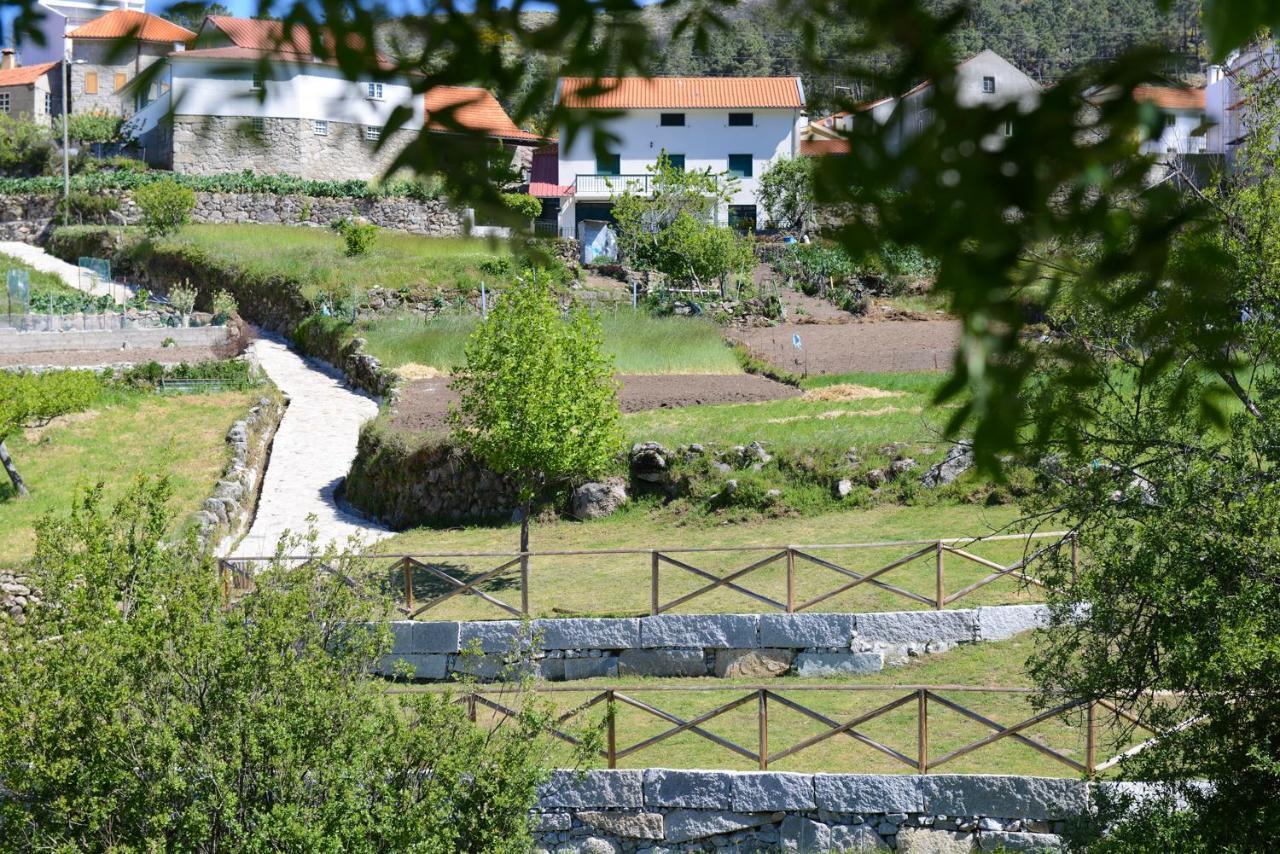 Casa Dos Alcaides Villa Sabugueiro  Bagian luar foto
